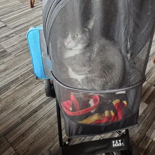 Our travel kitty