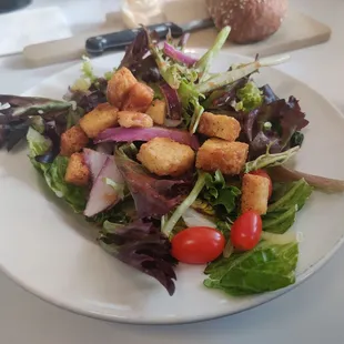 Tasty Dinner Salad