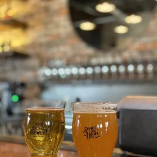 two glasses of beer on a bar