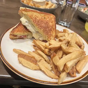 a grilled sandwich and french fries