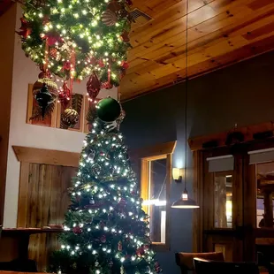 Decorated for the holidays (December 2024)