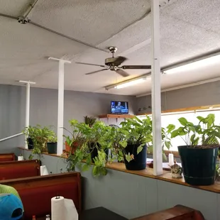 Photo of seating area inside Copper Kettle Restaurant in Holly Springs, MS.