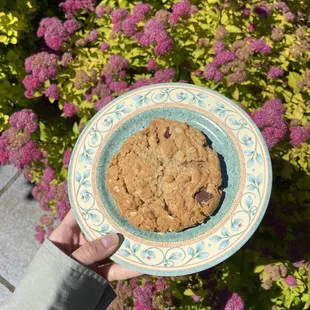 Chocolate Chip Oat Peanut Butter Cookie