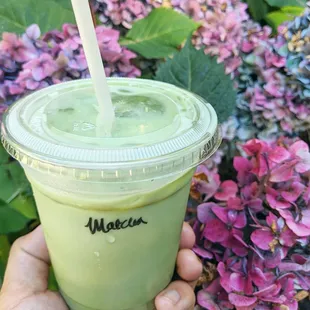 Iced Matcha Latte