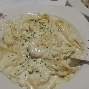 Shrimp Alfredo so you can see the size of the shrimp. They're 16/20 sized.