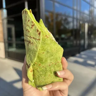 a hand holding a tortilla