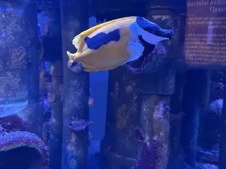 Windows On the River Banquet Facility