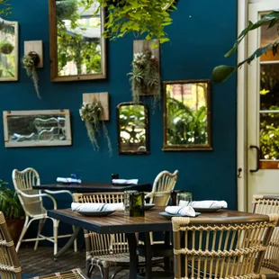 Outdoor courtyard dining
