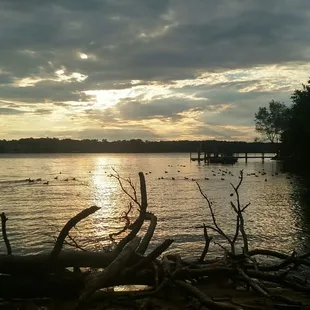 Duck nesting area on the walk from the parking lot.