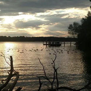 Duck nesting area on the walk from the parking lot.