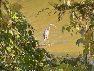 Colonel Francis Beatty Park