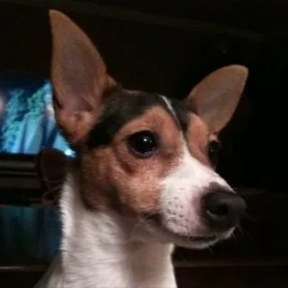 Mackerton D.