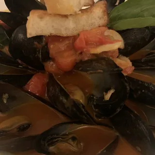 Mussels