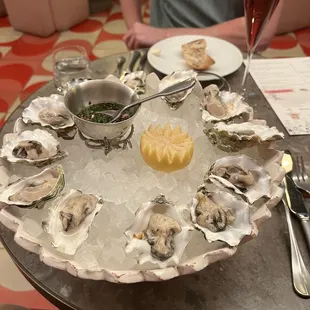 Oysters