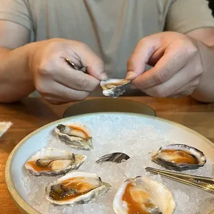 Oysters