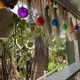 a porch with hanging plants