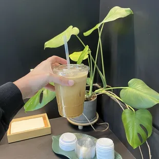 Jasmine latte iced with whole milk