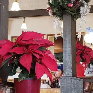Very festive in here