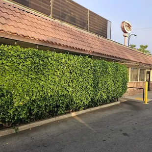 outside