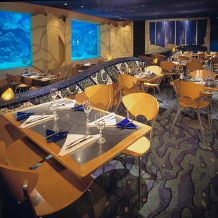 sushi and sashimi, interior