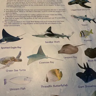 Fish guide