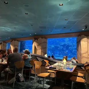 Inside, view of fishtank