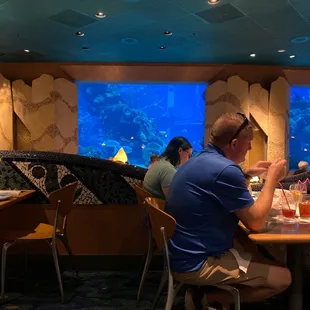 A pic of the GIANT fish tank