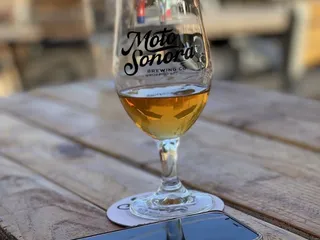 MotoSonora Brewing Company