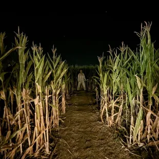 Haunted Corntrail