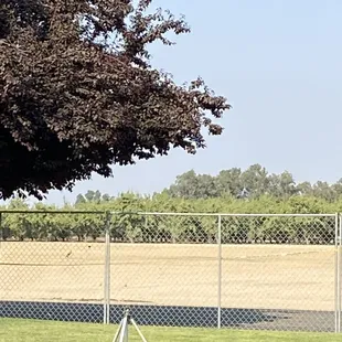 In the middle of the orchard. What a setting.