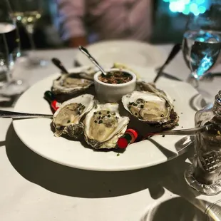 Seasonal Fresh Oysters