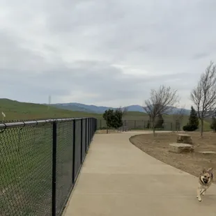 Looking towards the path leading to the dog park below