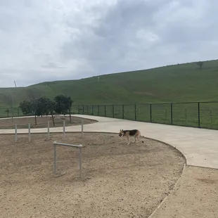 The upper portion of the dog park