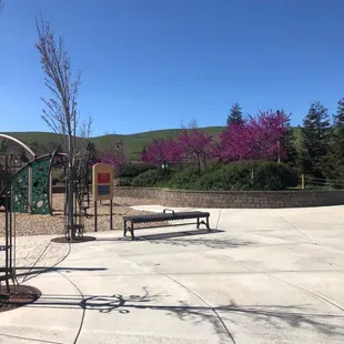 Trees are in bloom And beautiful 3/25/21
