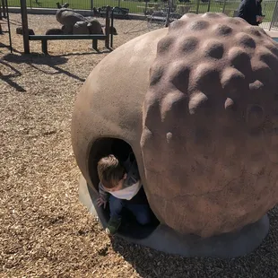 Fun