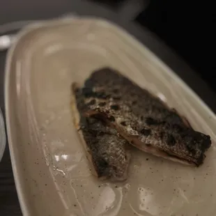 Sea Bream