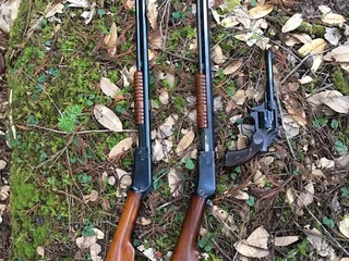 Petaluma Gun & Reloading Supply