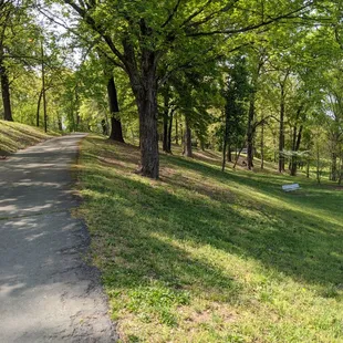 Cordelia Park, Charlotte