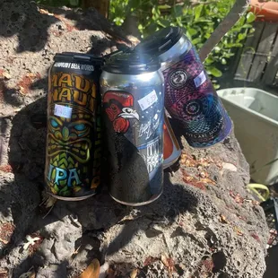 Beers on the rocks.