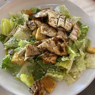 Caesar salad with grilled chicken