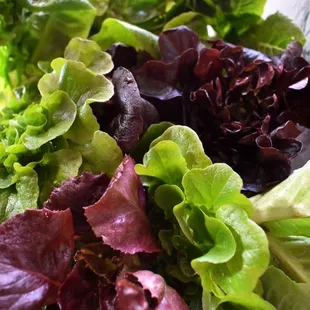 Lettuce from Plot Twist Farm out of Guys Mills, PA