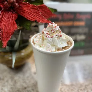 Hot Chocolate Shake w peppermint