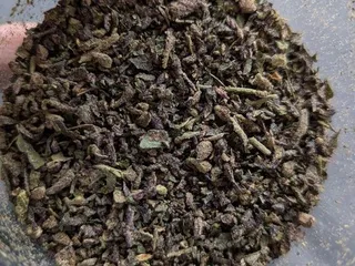 The Pocket Dispensary