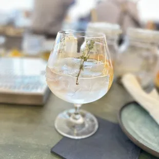 Citrus Thyme Spanish Tonic