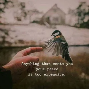 Children need peaceful co-parents and our classes can help provide that.