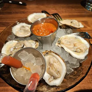 East coast oysters