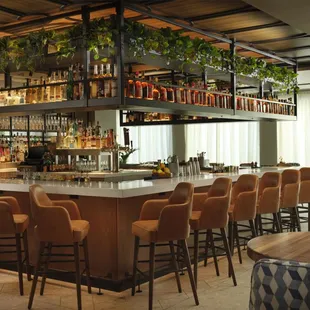 Corinne San Antonio- Bar