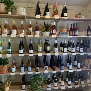 a shelf full of wine bottles