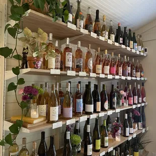 Select of rose and whites