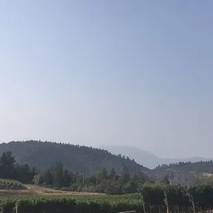 Up on top of pride mountain. Great place great view great wine!